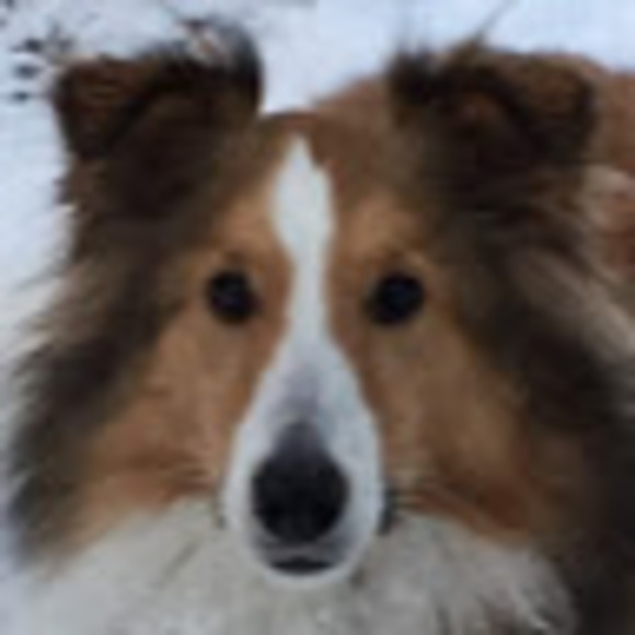 Meet your Posher, Alexandra - Picture 1 of 1